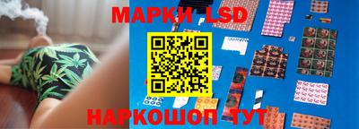 крисы Будённовск
