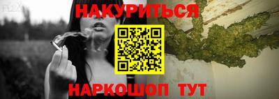 крисы Будённовск