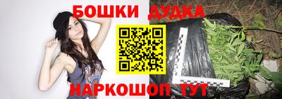 крисы Будённовск