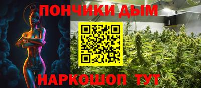 крисы Будённовск